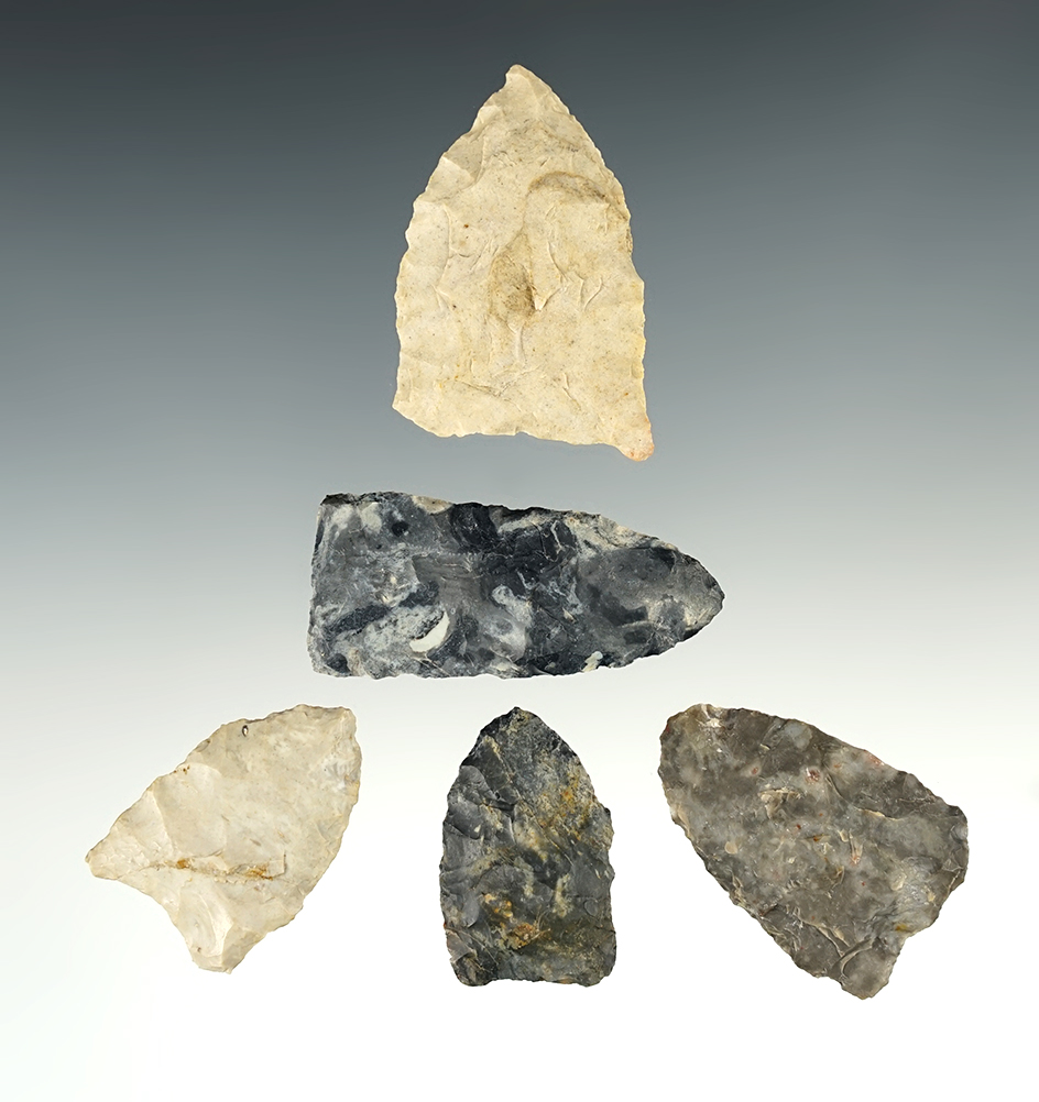 Set of 5 Ohio Dart Points, largest is 1 13/16".