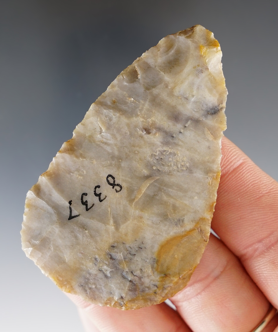 Nicely made 2 9/16" Flint Ridge Cache Blade found in Ohio.