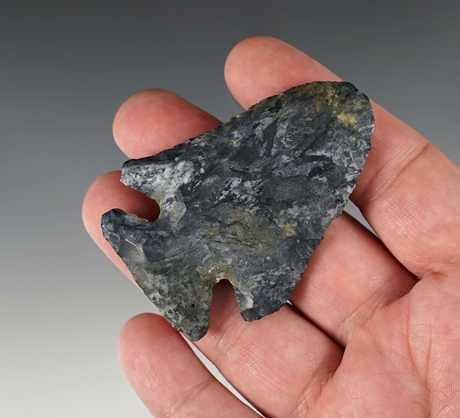 2 5/8" Thebes Point found in Adams Co., Ohio. One basal lobe is restored.