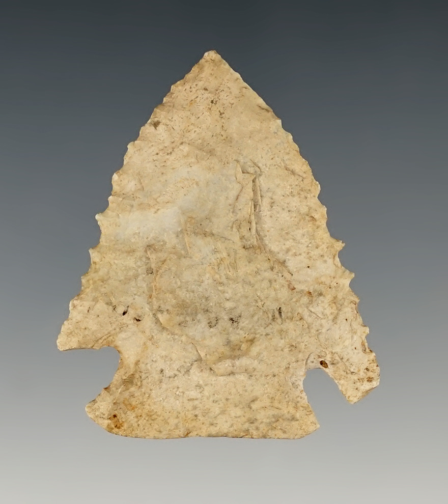 Nicely serrated Kirk Corner Notch found in Macon Co., Illinois, with a ground base.