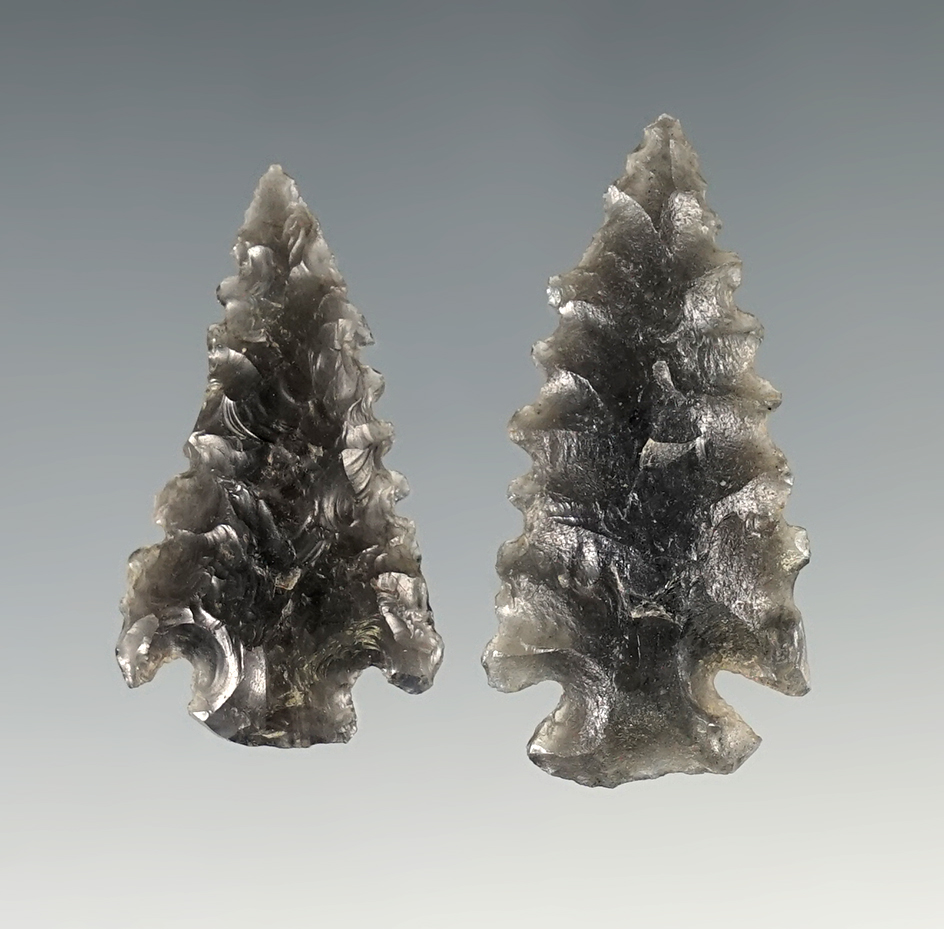 Nice pair of Serrated Arrowheads made from Obsidian. Largest is 1 9/16".