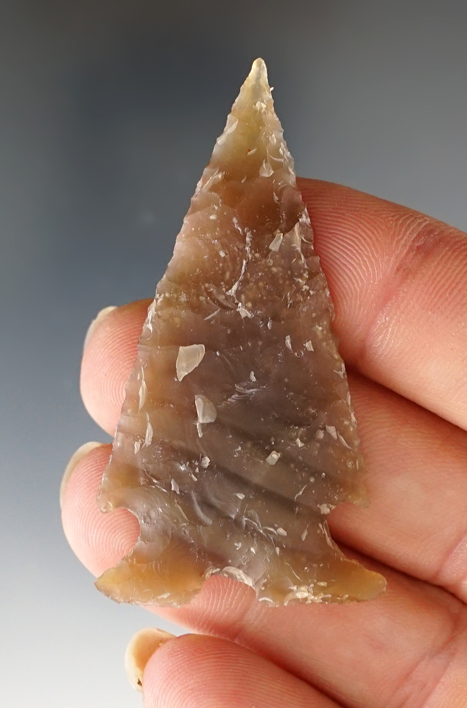 2 1/16" Frio made from Root Beer Flint, found in Bandera Co., Texas. Comes with a Bill Arnold COA.