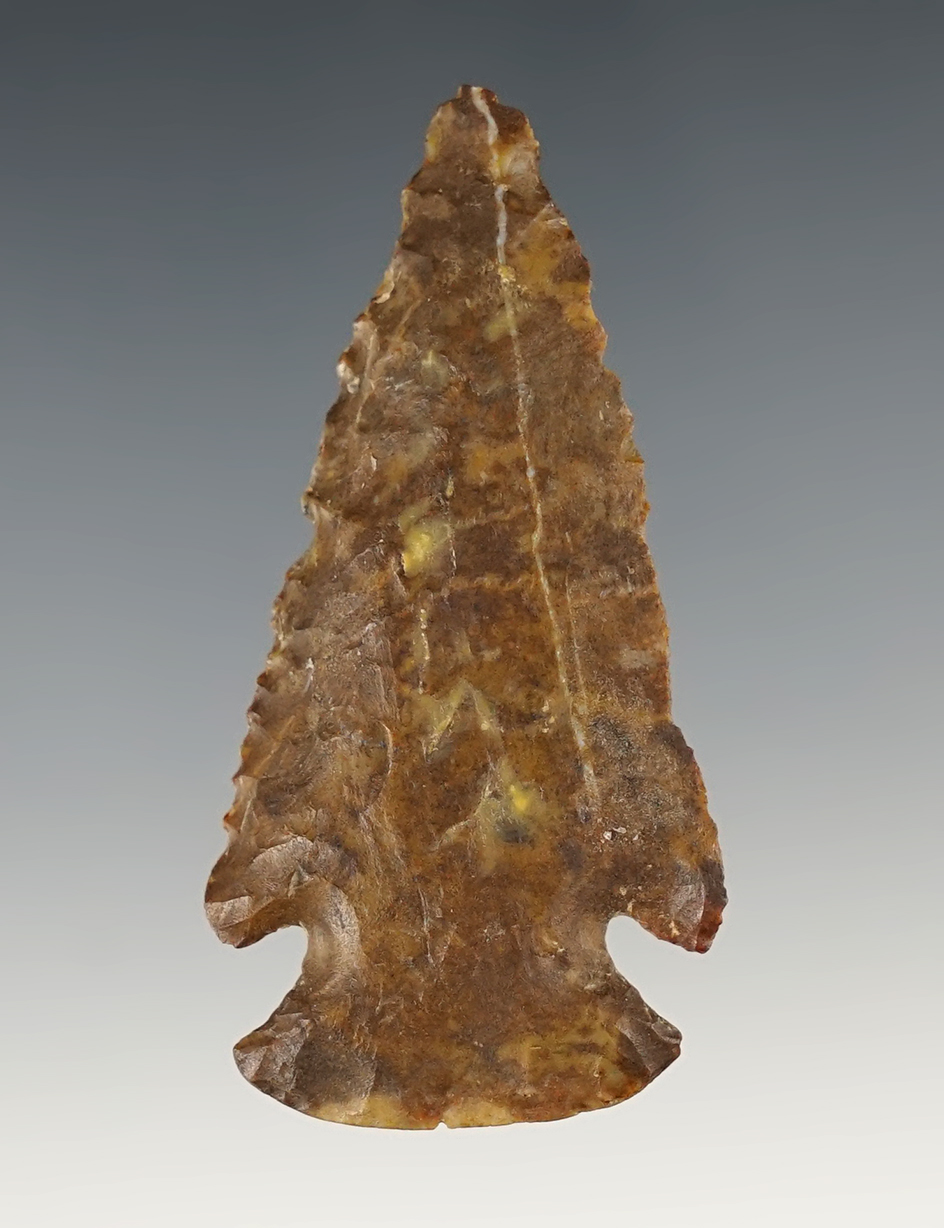 Heavily patinated 2 7/16" Dovetail found in Kentucky with a nice bevel to the blade.