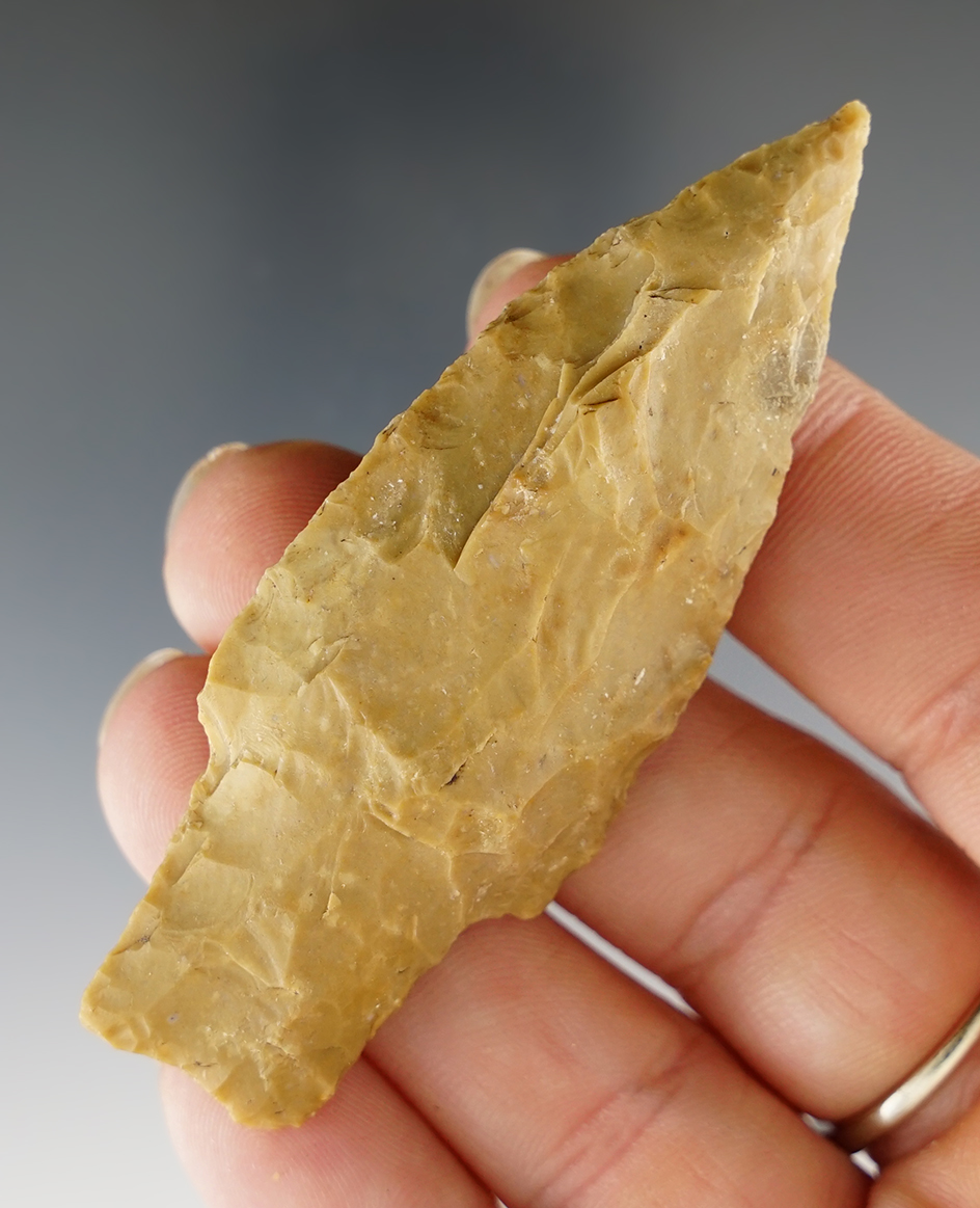 2 13/16" Morrill found in Coryell Co., Texas. Comes with a Rogers COA.