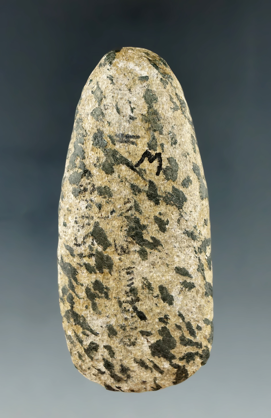 3 1/4" Gneiss Celt found by J. Perry in Ohio. Ex. Wehrle, Hill and Hooks Collections.