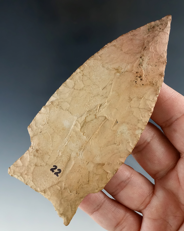 Thin and very nicely flaked 4 3/8" Stemmed Knife found it Lions Lake, Johnson Co., Missouri.