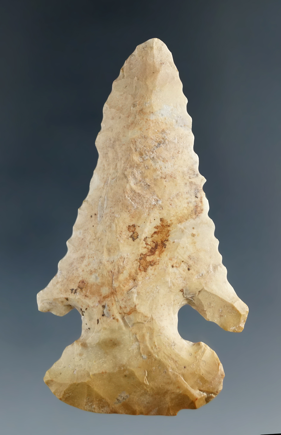 Rare style! 2 11/16" Archaic Thebes E-Notch found in Illinois.