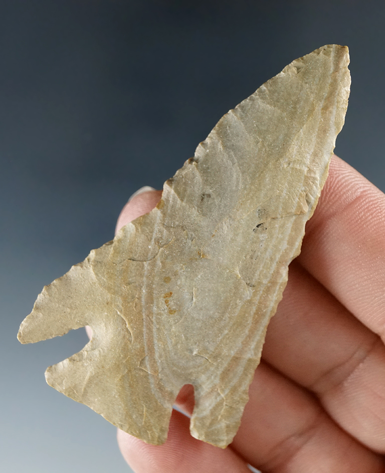 Nicely flaked 2 5/8" Cornernotch found in southern Kentucky and nice condition.