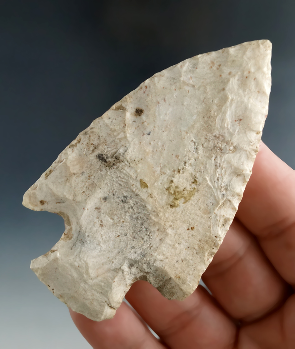 3 1/16" Hopewell made from Burlington chert found in Oregon Co., Missouri. Ex. Gene Dehirow.