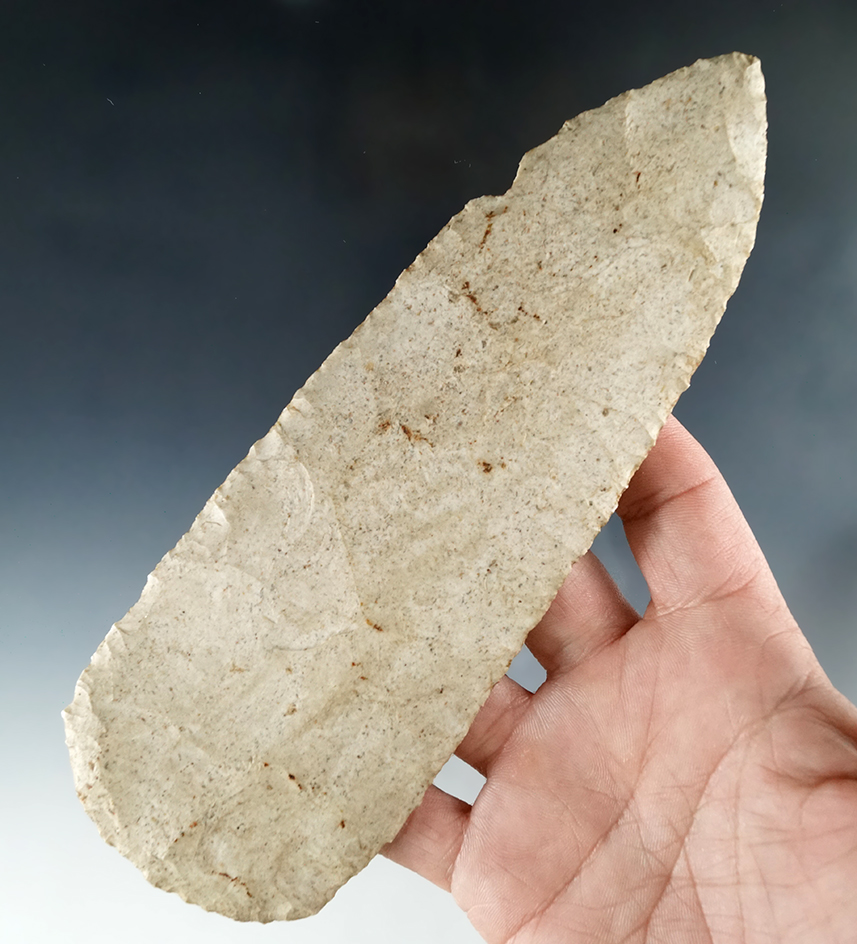 Big! 6 7/8" Flint Blade that is nicely flaked found in Saline Co., Missouri.