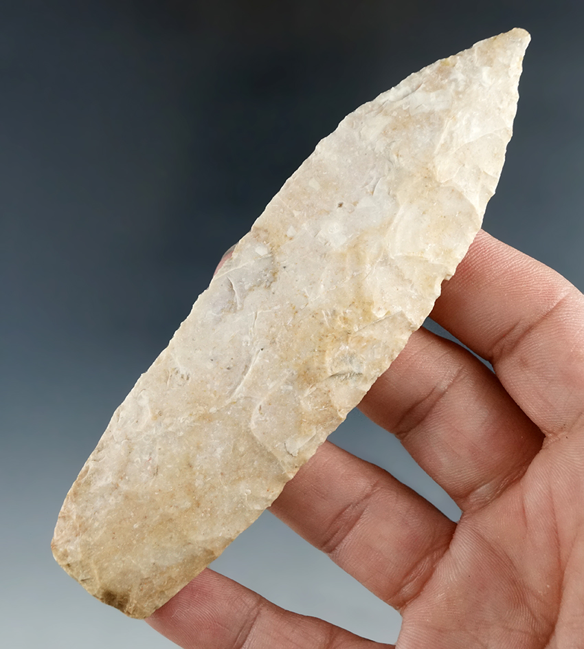 4 1/2" Angostura with nicely ground lower edges found in Pettis Co., Missouri.