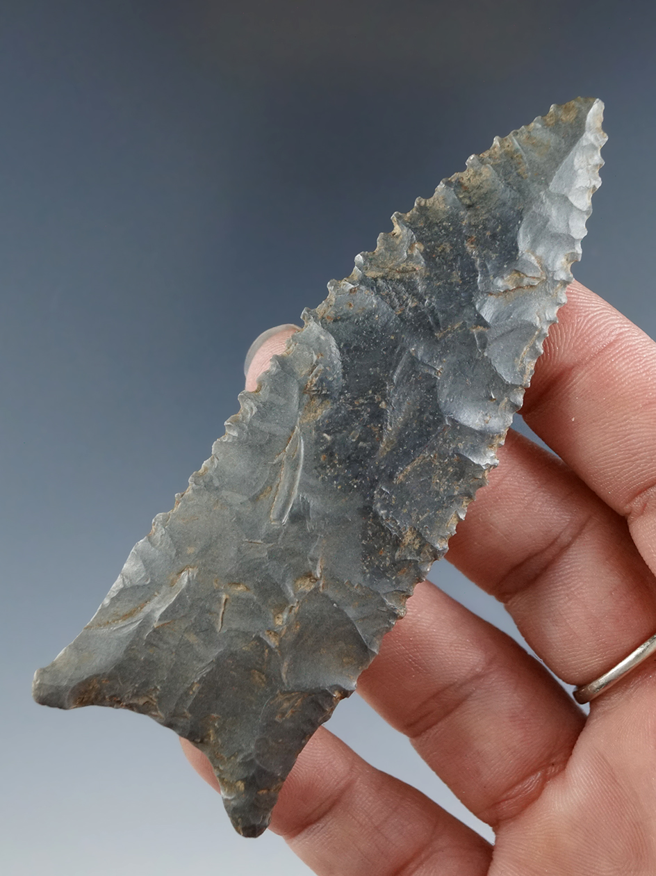 3 11/16" Greenbrier Dalton - beautiful Sonora Flint found in Lyon Co., Kentucky. Perino COA.