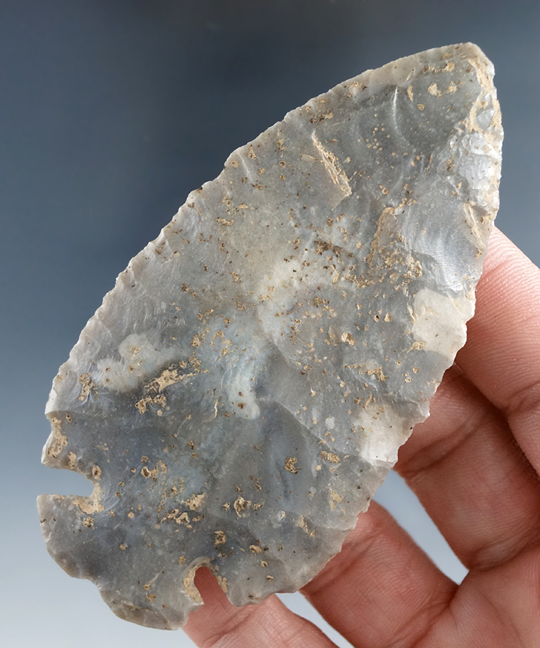 Sale Highlight! 3 5/8" Notched Base Dovetail found in 1984 - Jefferson Co., Illinois.