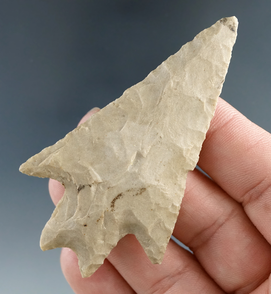 2 15/16" Pedernales found in Bell Co., Texas in very nice condition.