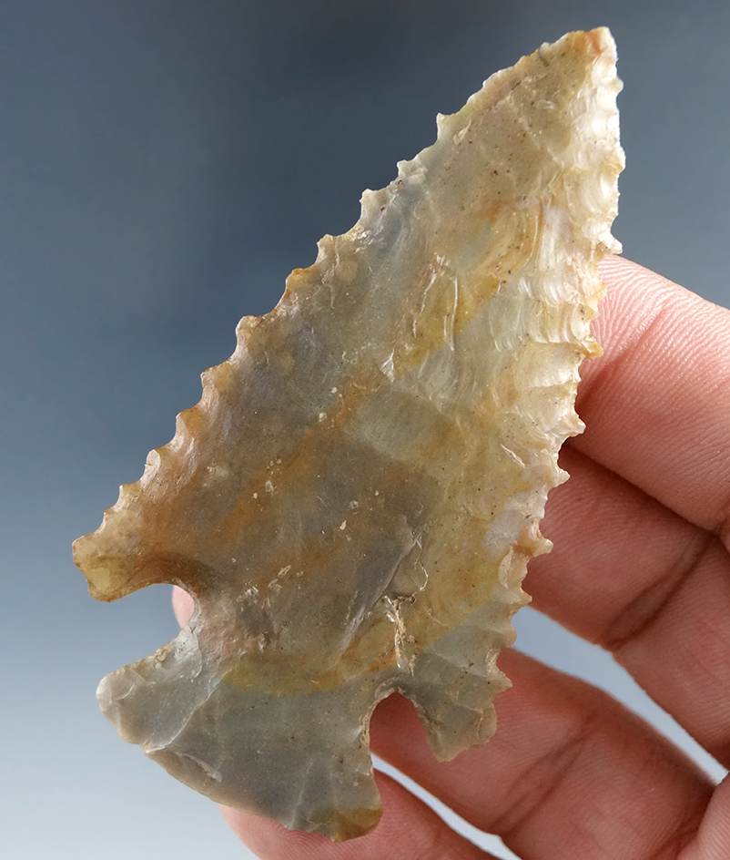 Excellent serrations on this 3" long Pinetree with a restored earfound in Scott Co., Kentucky.