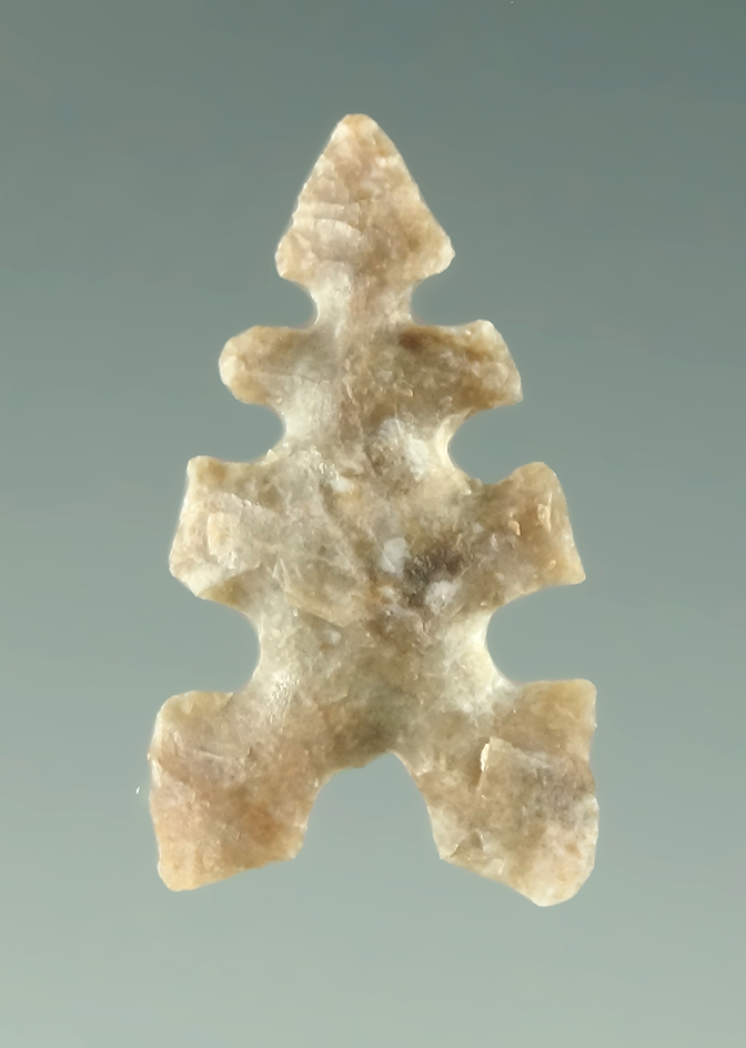 Beautifully serrated 7/8" Toyah found in Texas. From the personal collection of Greg Perino.