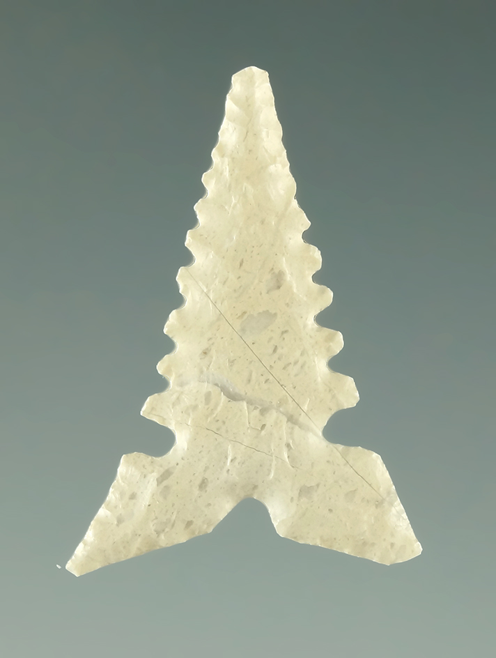 1" Toyah point with incredible serrations - Texas. Ex. Charlie Shewey collection. Ex. Museum.