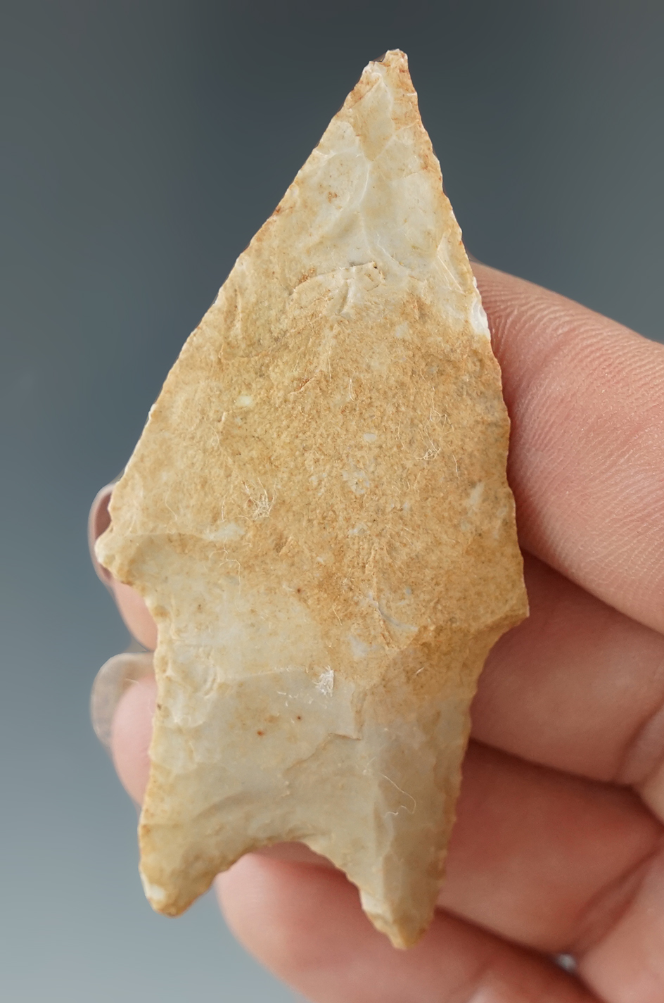 Well patinated 2 1/2" Pedernales point found in Texas.