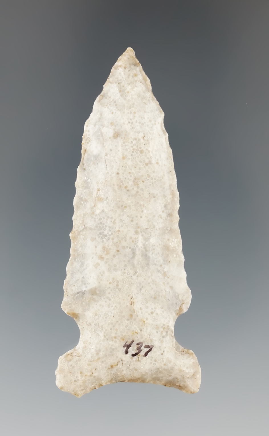 2 9/16" Graham Cave found in Missouri.