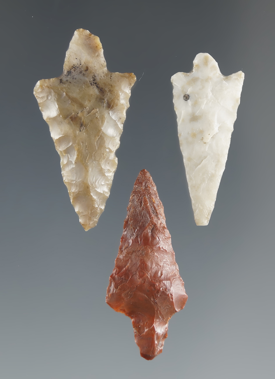 Three Rabbit Island Arrow points found near the Hood River, Oregon. Largest is 1".
