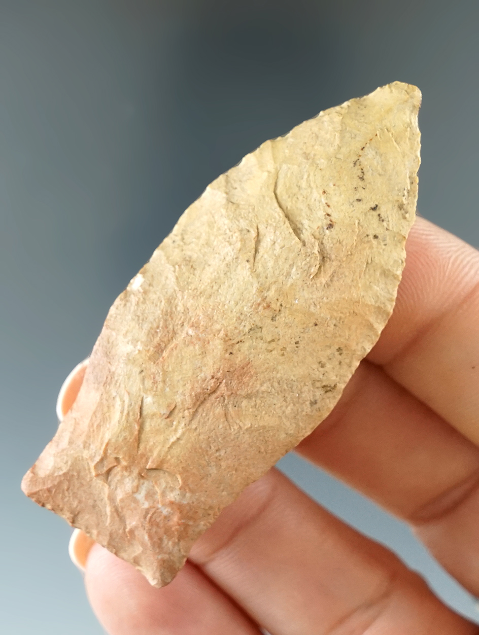 2 5/8" Copena made from Fort Payne chert found in Tennessee. Comes with a Davis COA.