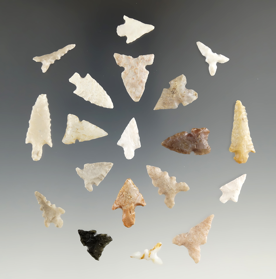Excellent group of 19 assorted Texas bird points, largest is 1 3/16".