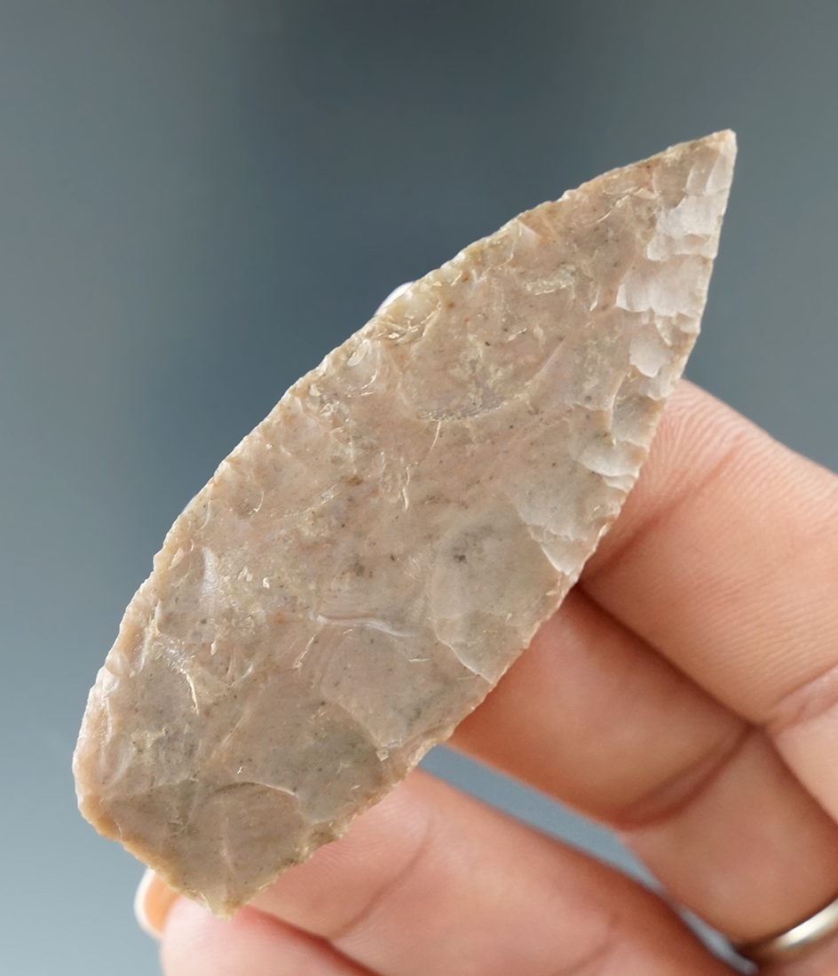 2 1/2" Angostura found in Bell Co., Texas. Comes with a Rogers COA.