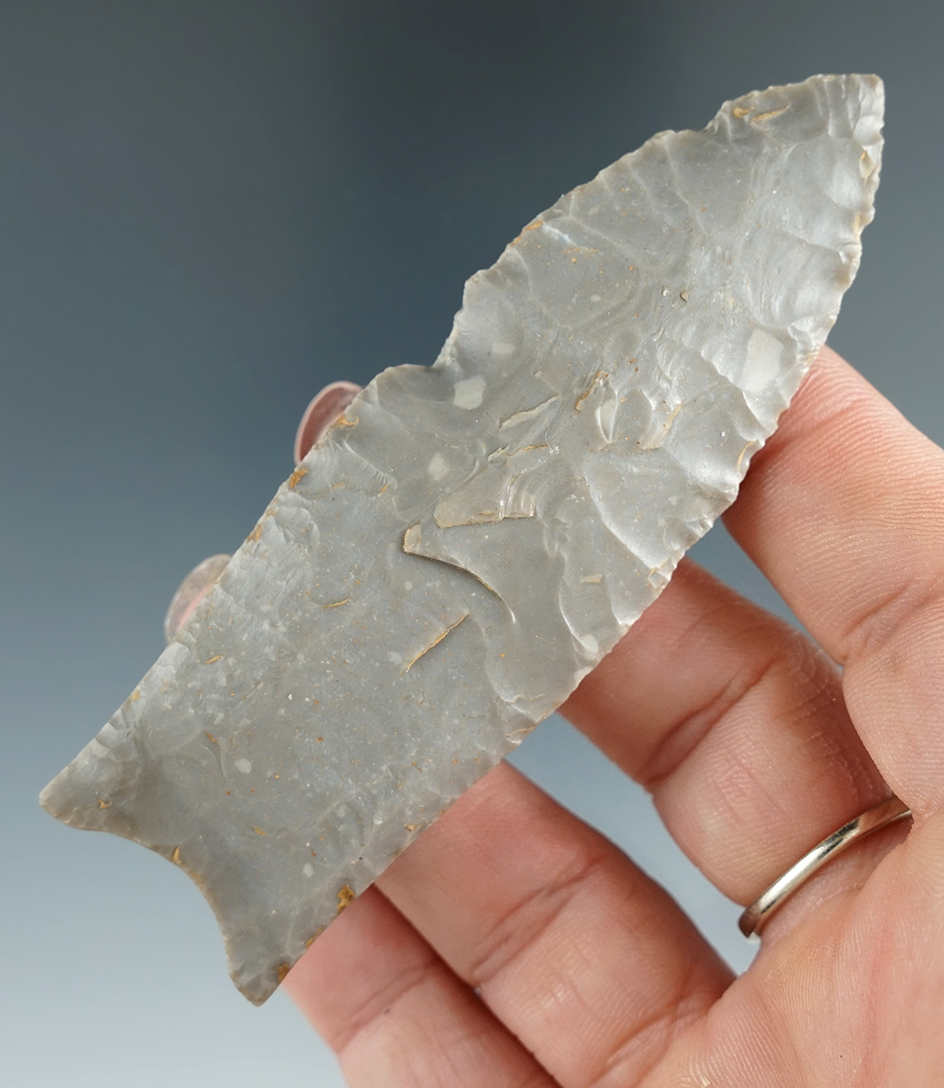3 5/8" Hornstone Paleo fluted Clovis found by Robert Basham in Breckenridge Kentucky.