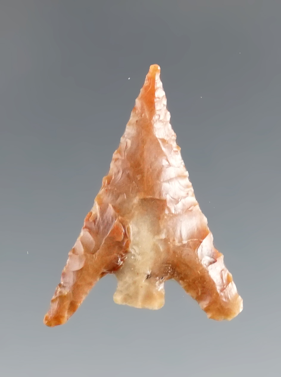 Beautifully styled 1 1/8" Columbia Plateau found near the Columbia River, Vantage WA.