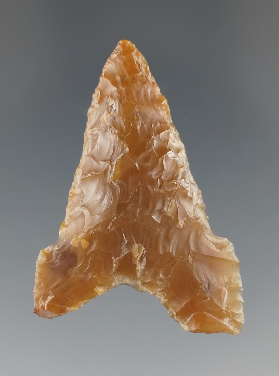 1 7/8" Columbia Mule Ear found near the John Day Rapids, Klickitat Co., Washington.