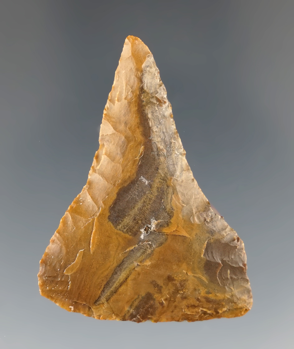 1 13/16" Pentagonal Knife found near the Dalles Oregon made from attractive petrified wood.