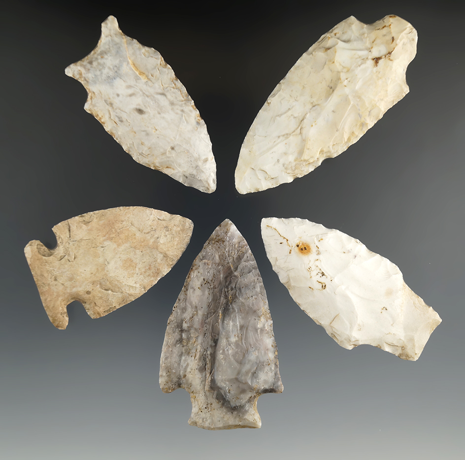 Set of 5 Missouri Arrowheads, largest is 3".