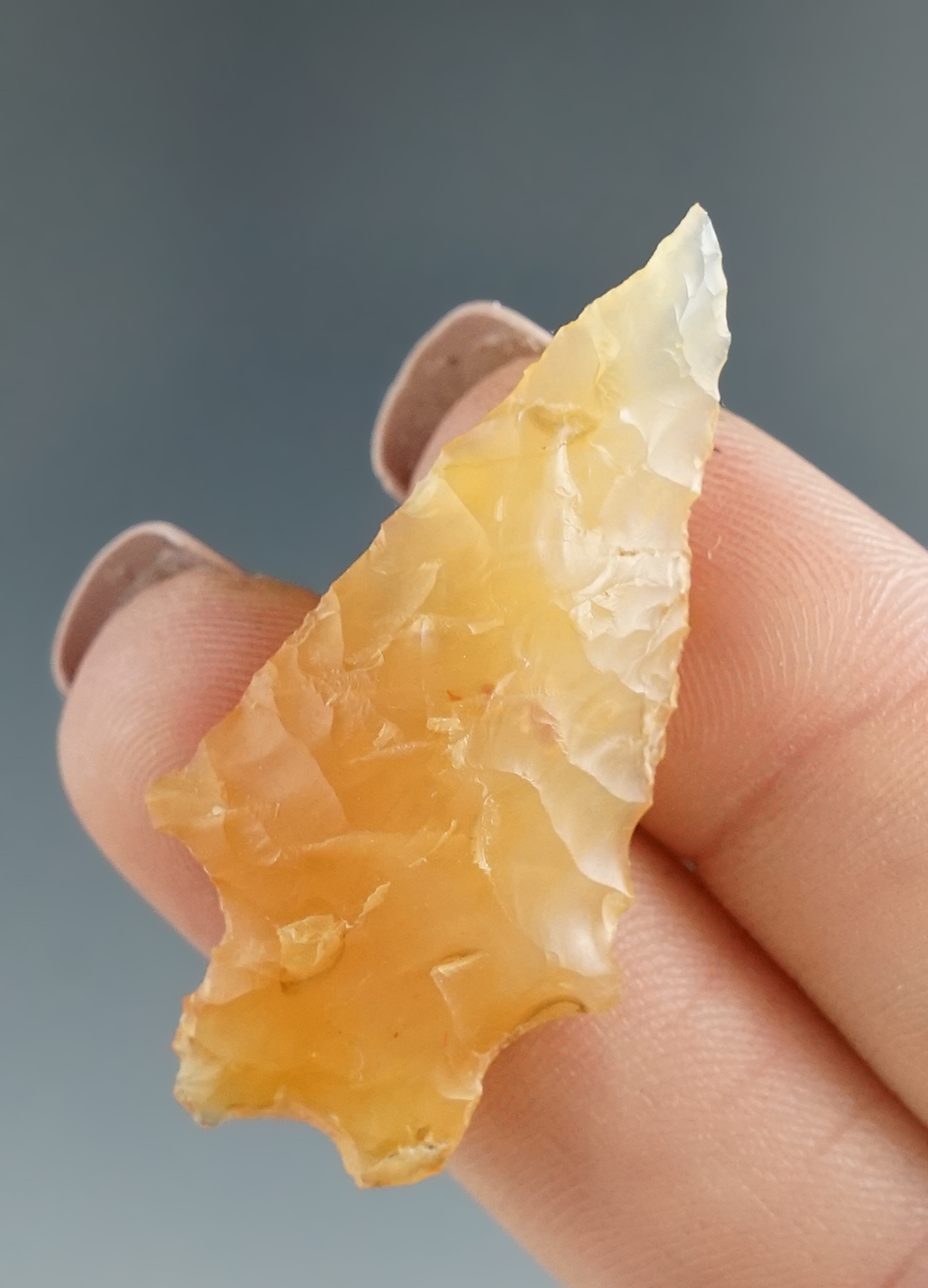 1 5/8" Gatecliff Split Stem made from beautiful honey colored translucent agate - Vantage WA.