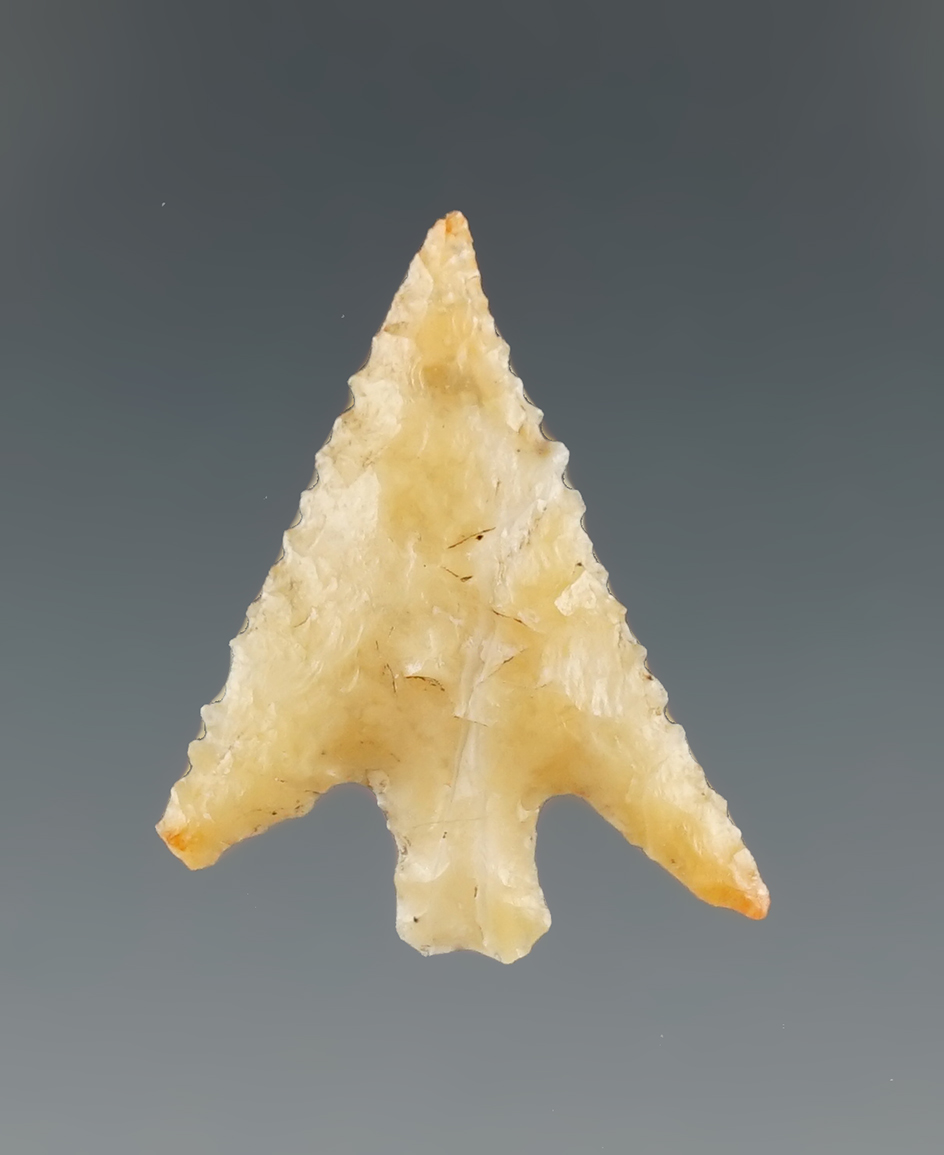 Excellent edge serrations on this nicely styled 4 9/16" Columbia Plateau found in Washington.