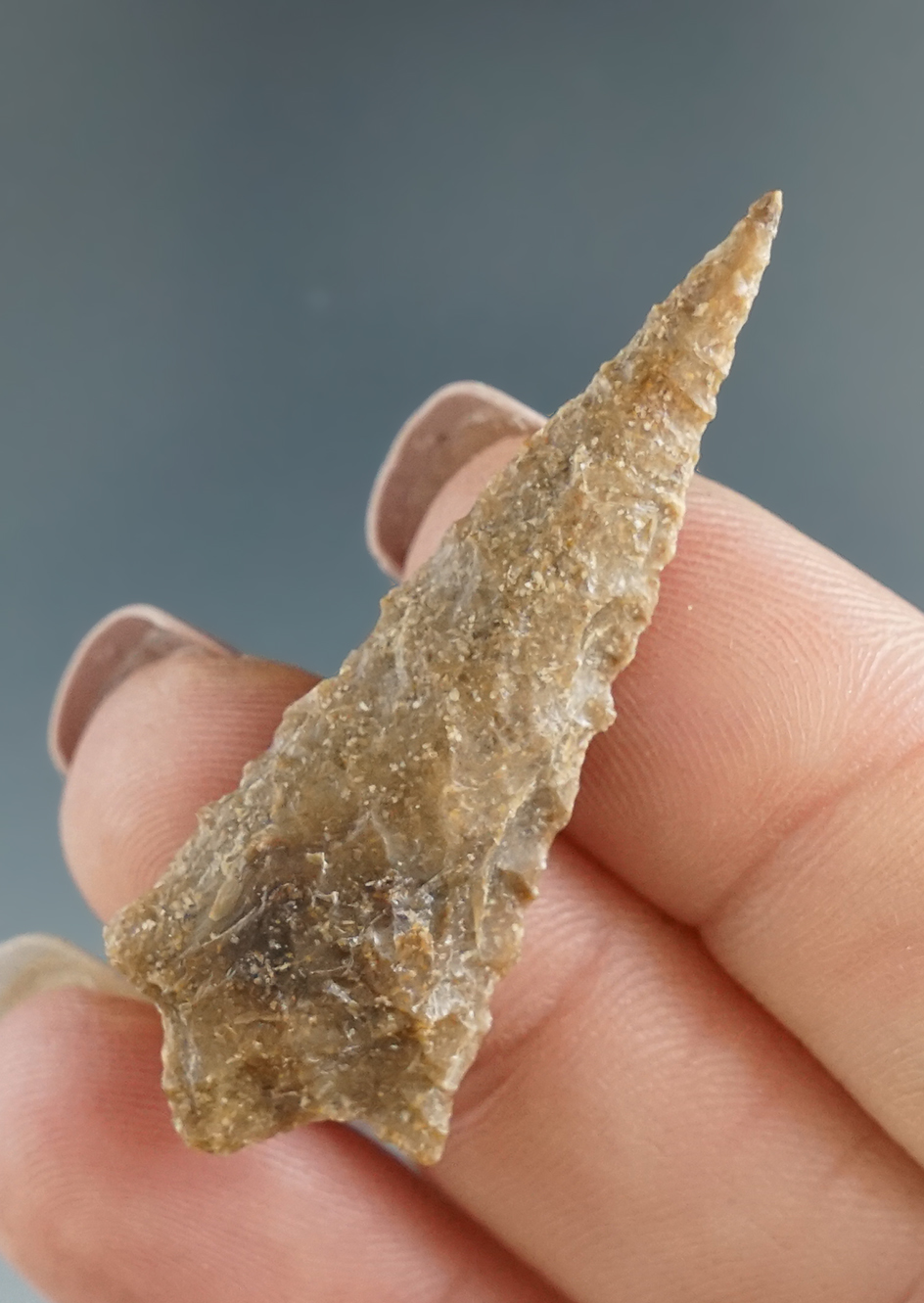 Exceptional flaking and classic style on this high-grade 1 13/16" Rabbit Island - Columbia River