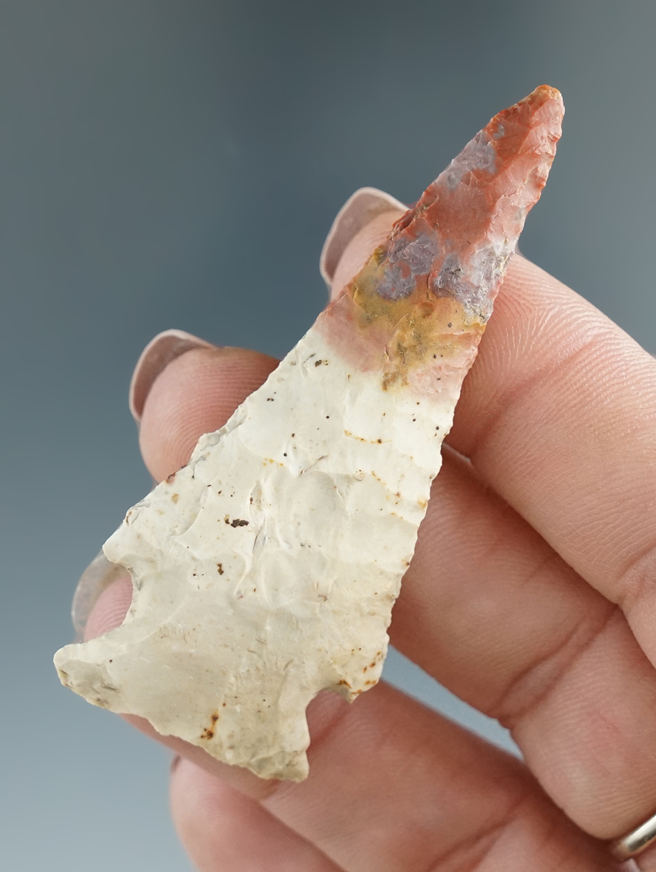 Beautifully colored Flint on this 2 1/2" Cornernotch Knife found in Indiana.