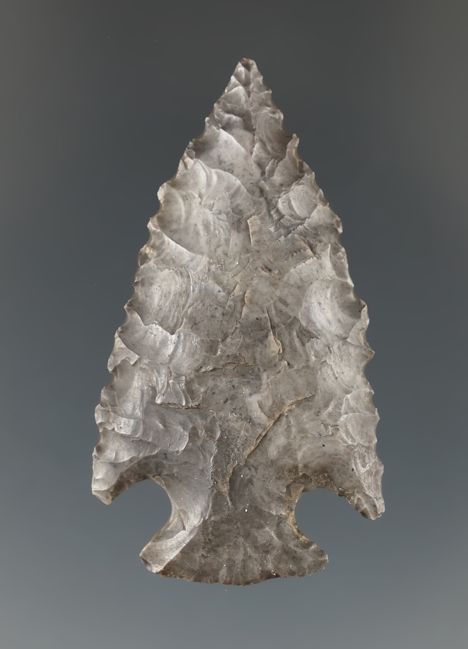 1 13/16" Palmer point made from Fort Payne chert found in Tennessee. Jackson COA.