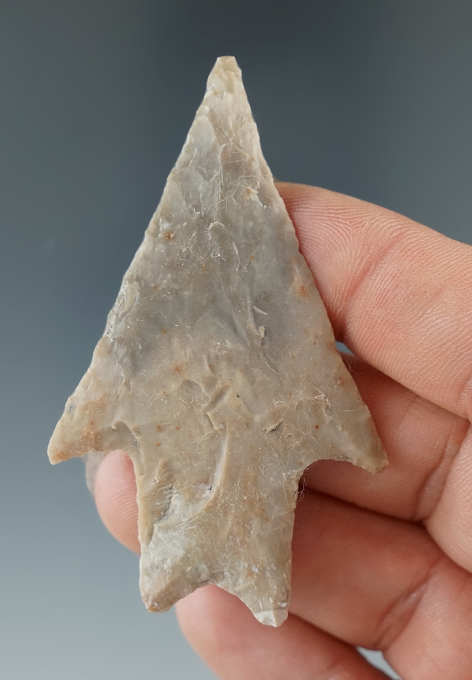 2 7/8" Langtry point found in Texas. Fire pops on reverse side.