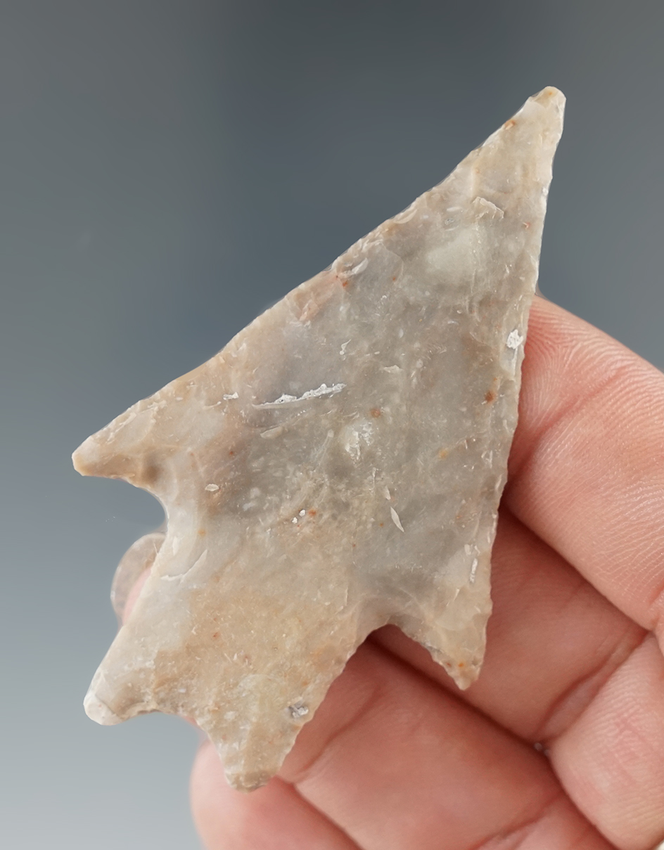 2 9/16" well styled Pedernales point found in Texas.