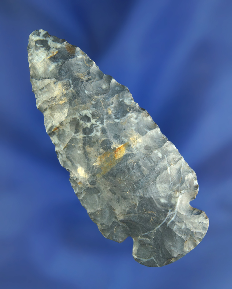 2 3/4" Coshocton Flint Dovetail with excellent flaking found in Ohio.