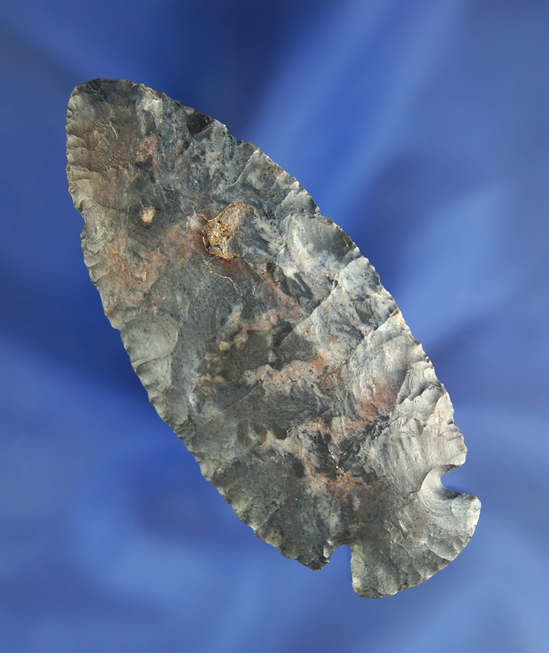 3 5/16" Coshocton Flint Archaic Dovetail m found in Crawford Co.,  Ohio