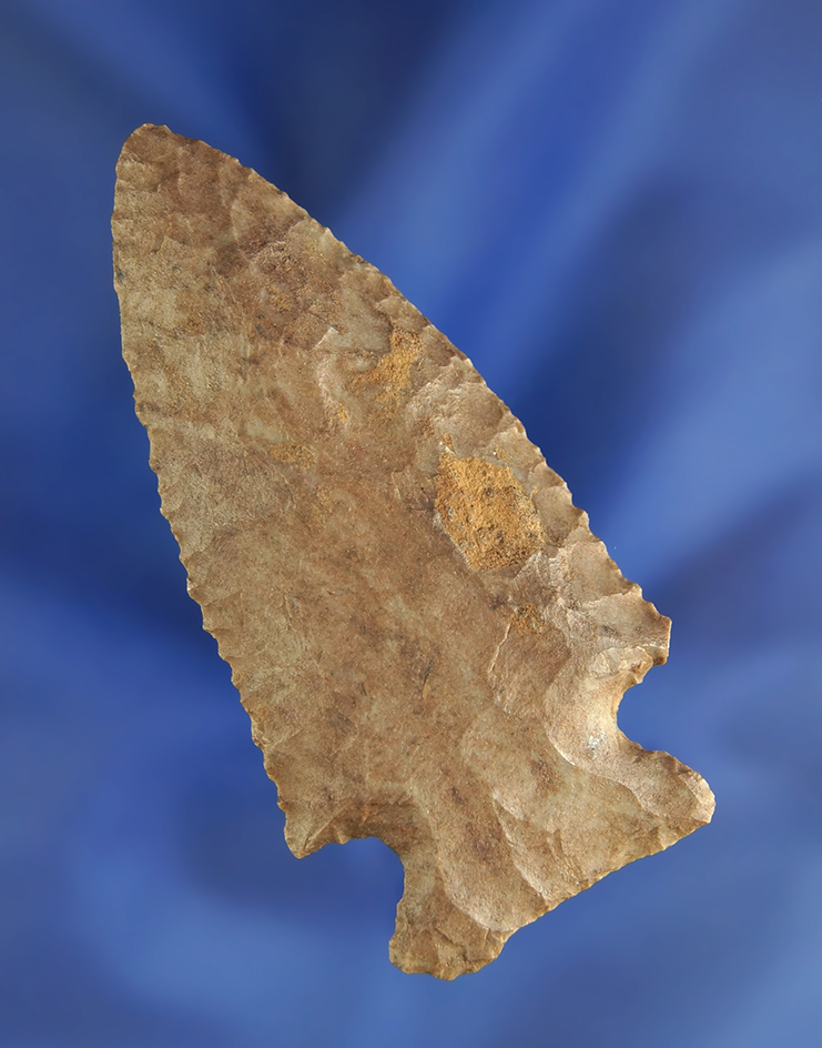 2 11/16" Archaic serrated Stilwell point  found in Crawford Co.,  Ohio