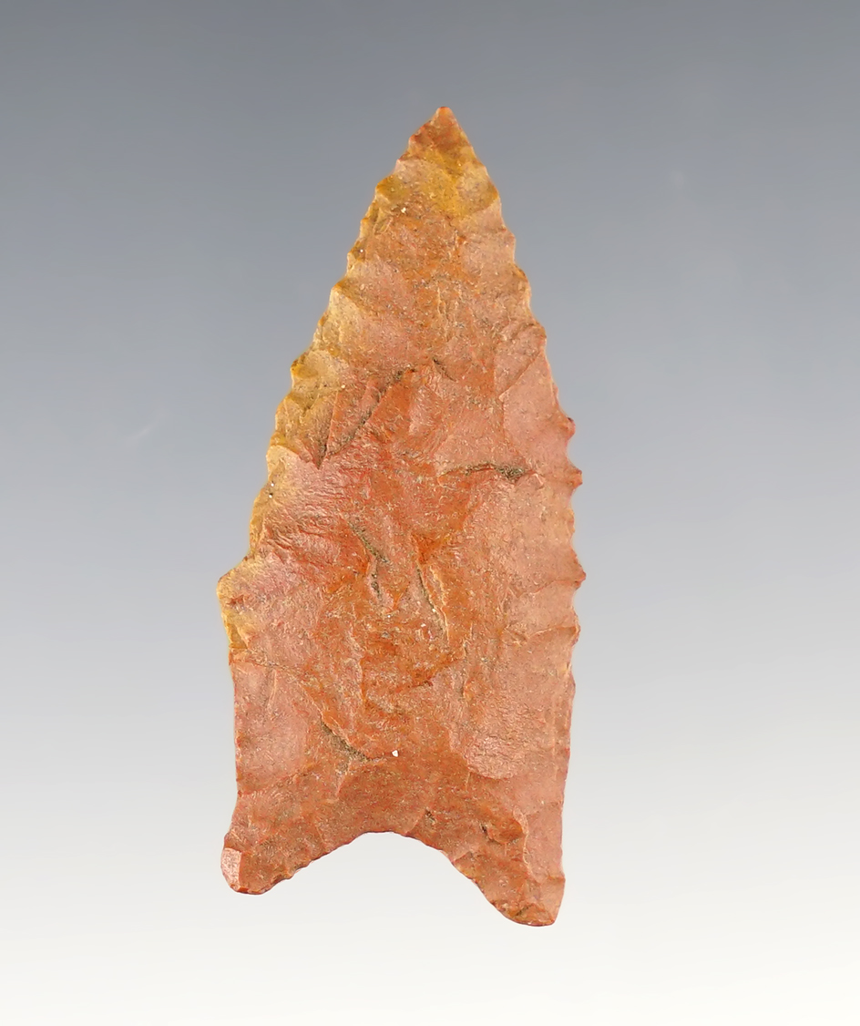Beautifully colored 1 7/8" Dalton Point with fine edge serrated. Found in Northern Central U.S.