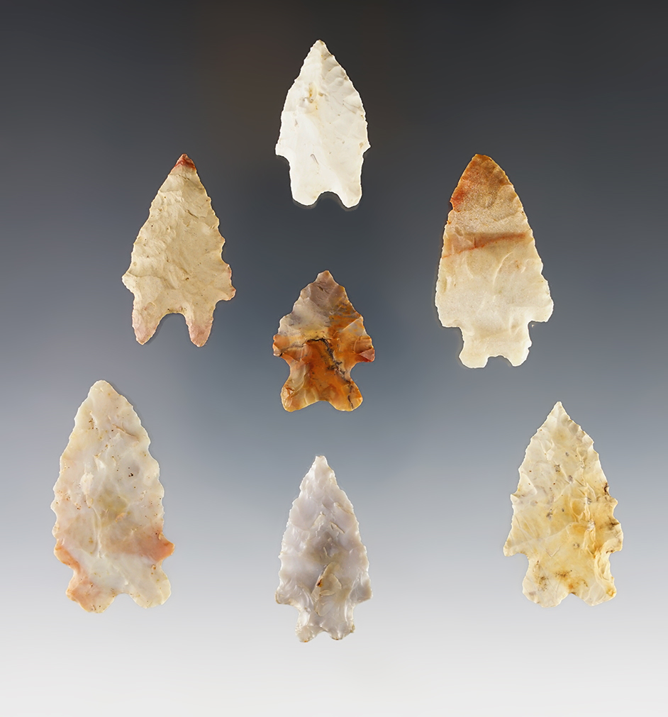 Set of 7 nicely made Bifurcated Points from various locations. The largest is 1 7/8".