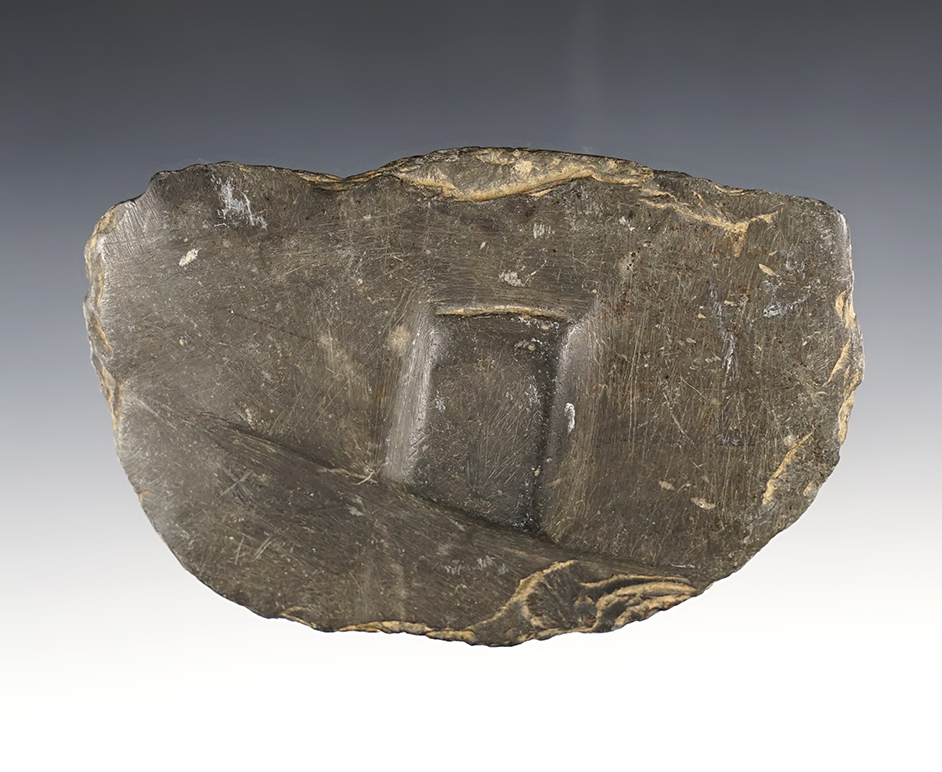 4 3/4" wide Ohio Wing Bannerstone Preform with original cut marks on both faces. Ohio.