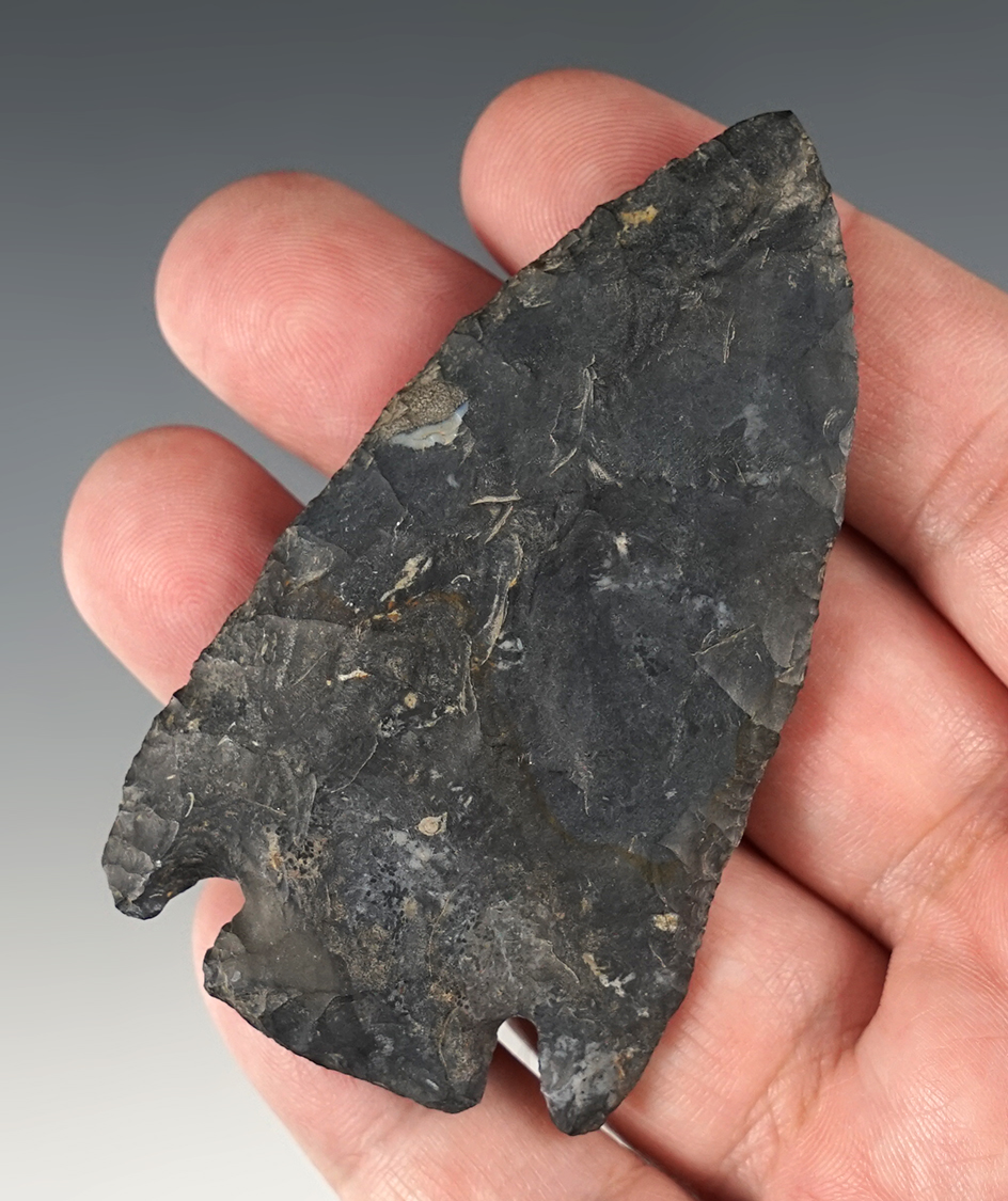 3 1/16" Coshocton Flint Basal Notch found in Muskingum Co., Ohio. Bennett COA.