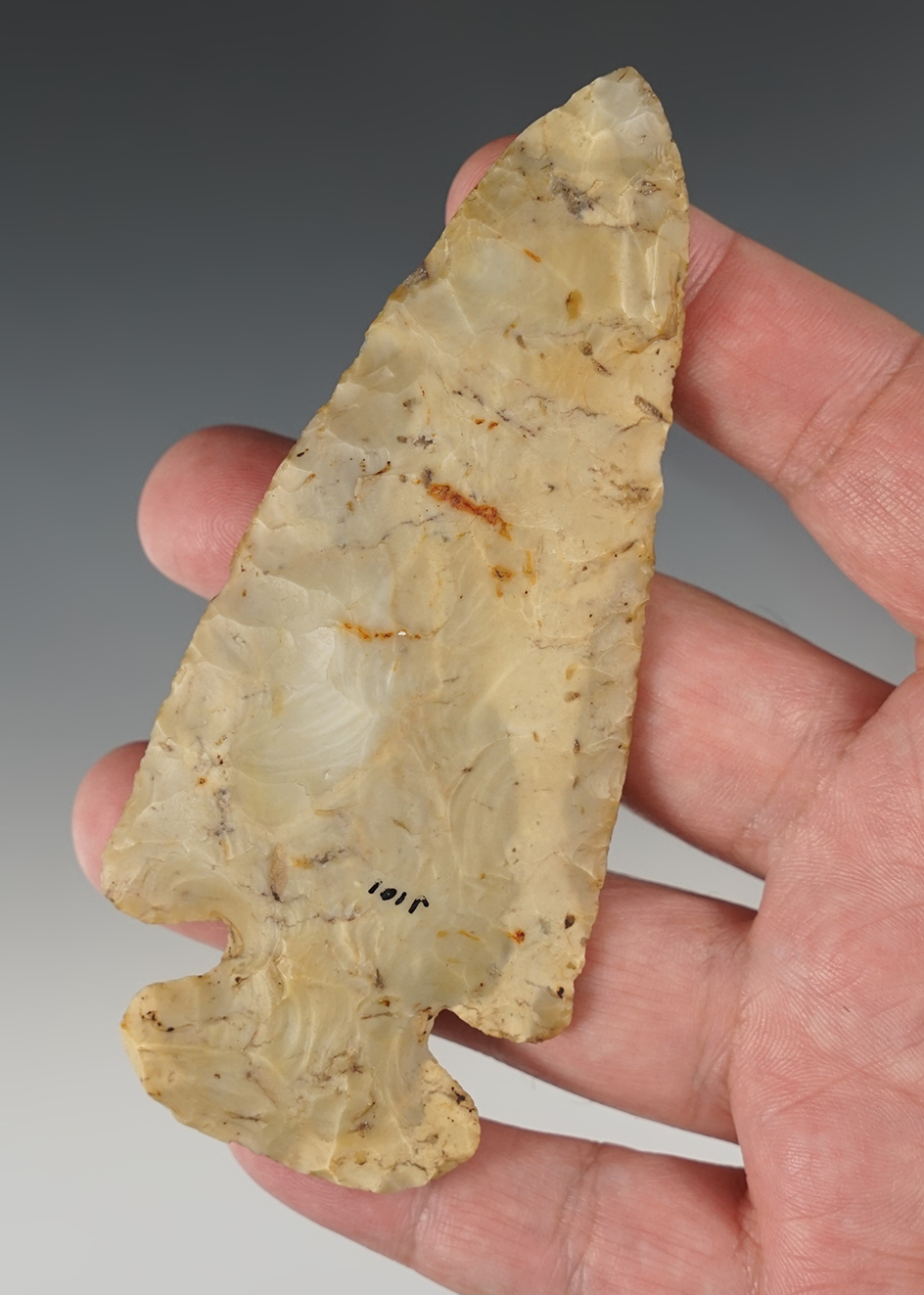 4 9/16" Dovetail found in Franklin Co., Ohio t. Minor modern retouch to the tip.