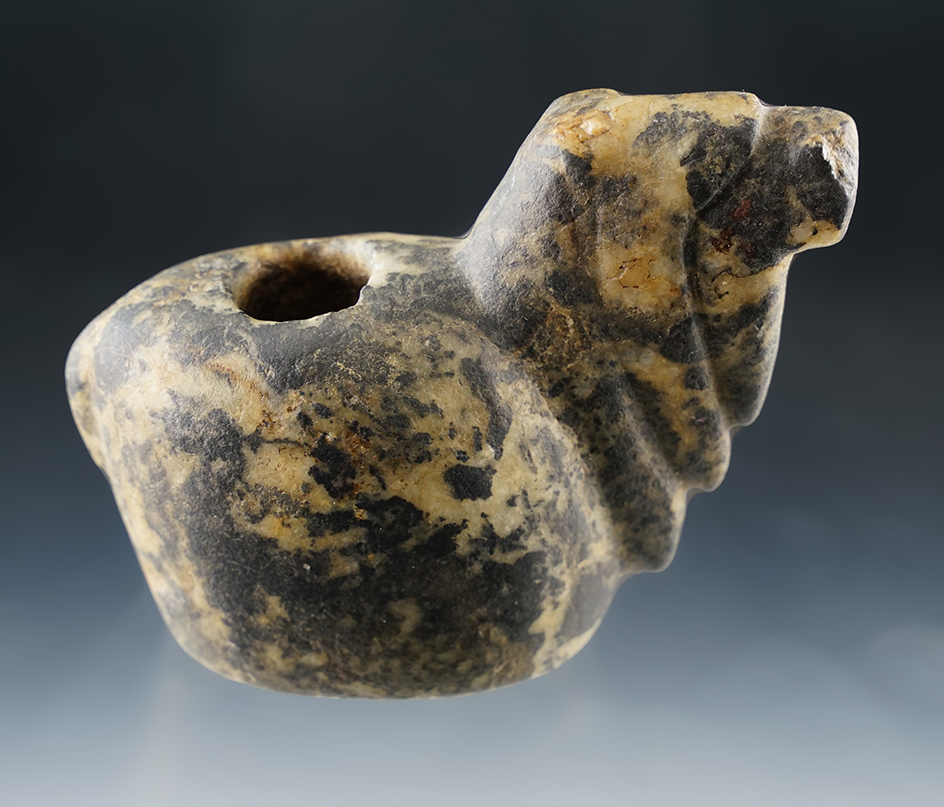 Large and nice! 4 3/4" long by 3 1/2" tall Alpaca Canopa with excellent age.