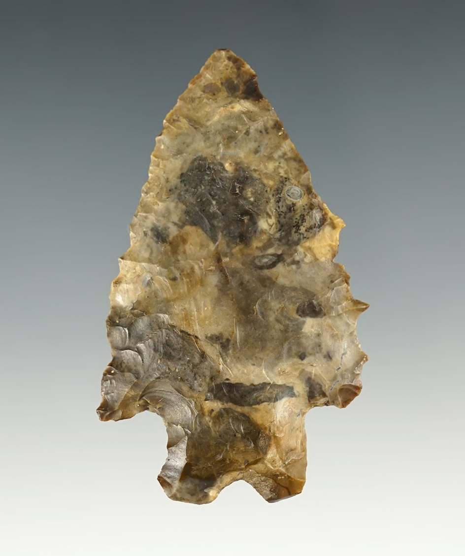 Nicely serrated 2 11/16" MacCorkle point found in Ashland Co., Ohio.