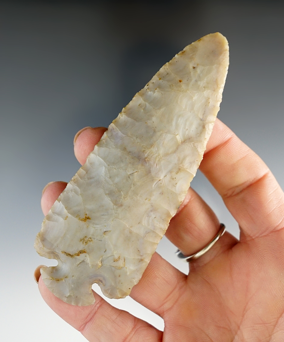 Superb 4 1/16" Flint Ridge Dovetail found in Ohio. Ex. Roy Reinhart collection.